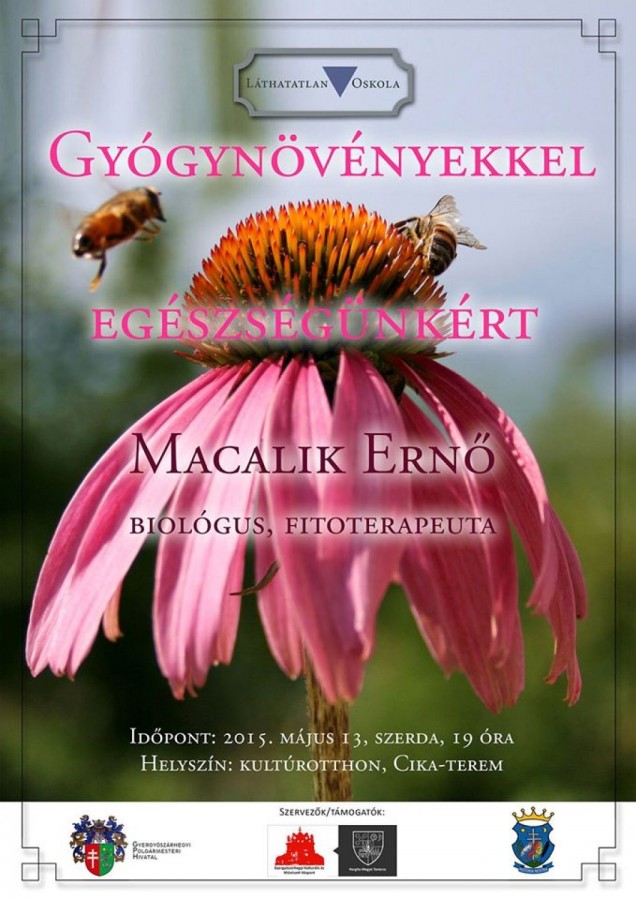 macalik_kisujsag_cover