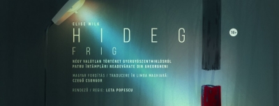 HIDEG - plakat1