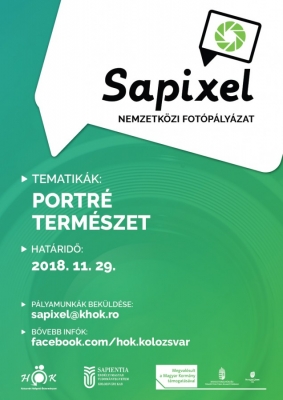 Sapixel 2018 plakat HU-01