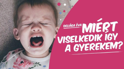 Miért viselkedik így a gyerekem?