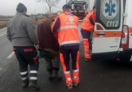 Emberre támadt egy medve, a 63 éves juhász több sérülést szenvedett