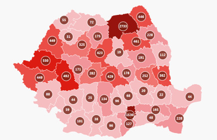 Fára menekült medvebocsokat fogtak be Tusnádfürdőn