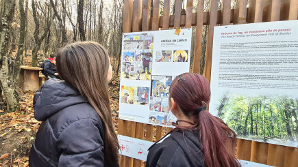 Huszadik alkalommal hirdetik meg a Zöldövezet Programot