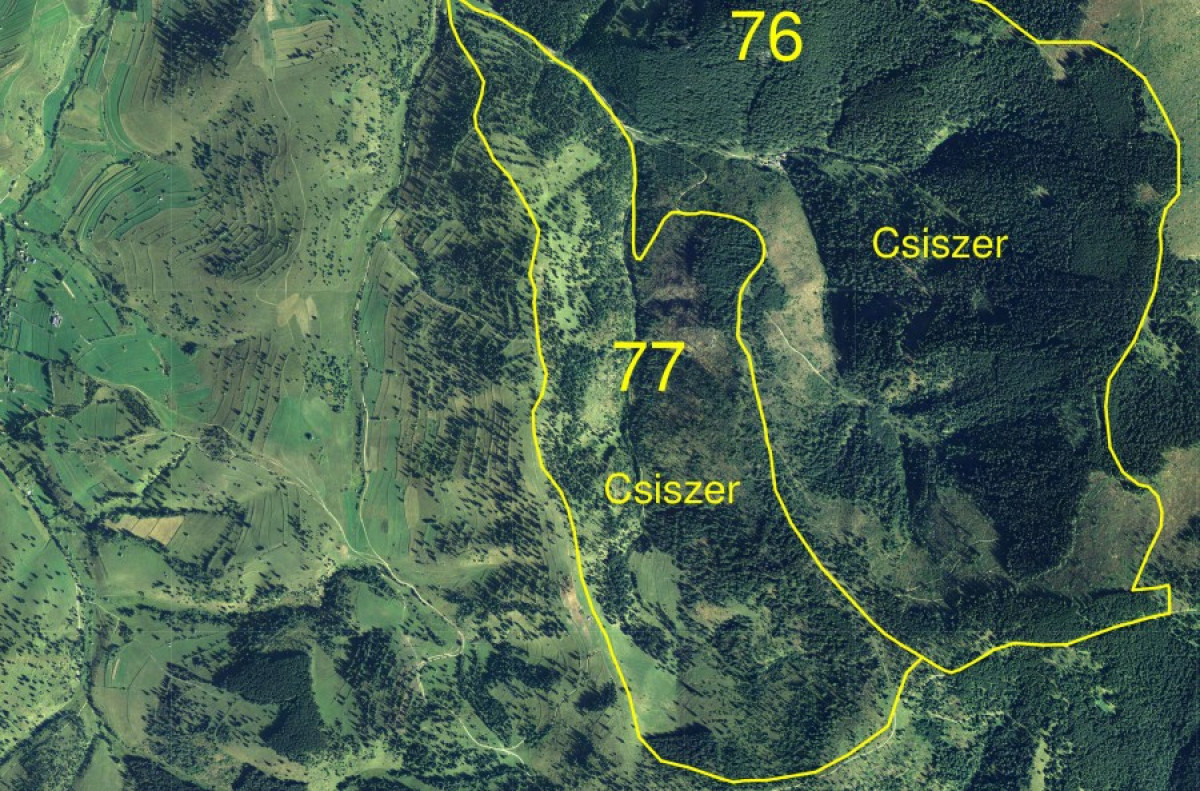 Konzultálható a 77-es dűlő parcellázási terve