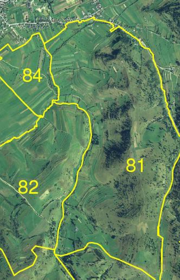 Konzultálható a 81-es dűlő parcellázási terve