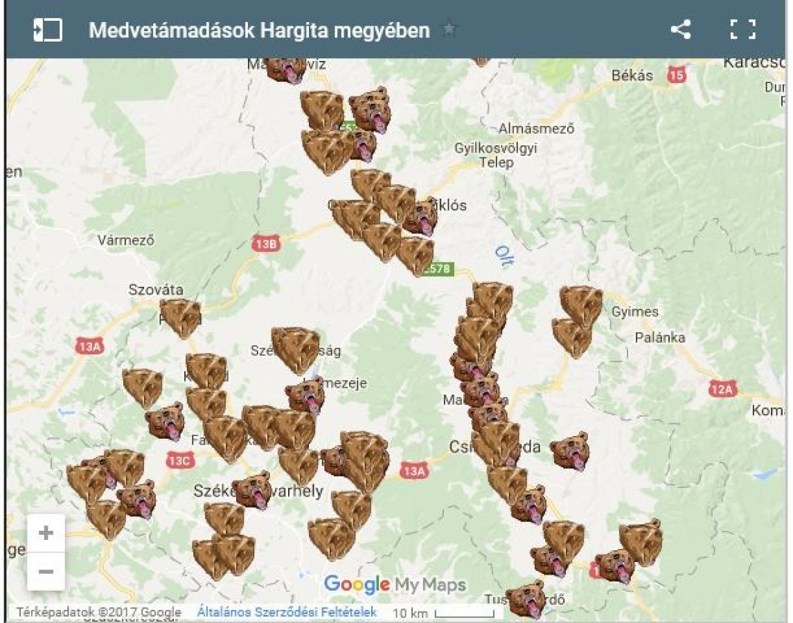 Természetvédő szervezeteket hívtak konzultálásra a medvekérdésben